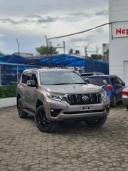 Toyota Land Cruiser Prado 2019 Gray for sale