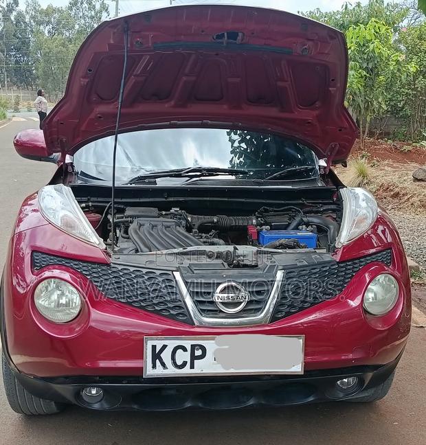 Nissan Juke 2011 Maroon
