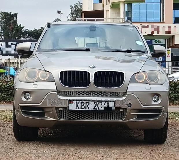 BMW X5 2009 Brown