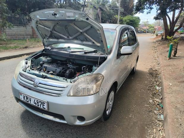 Toyota Raum 2008 Gray