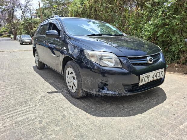 Toyota Corolla Fielder 2011 Black