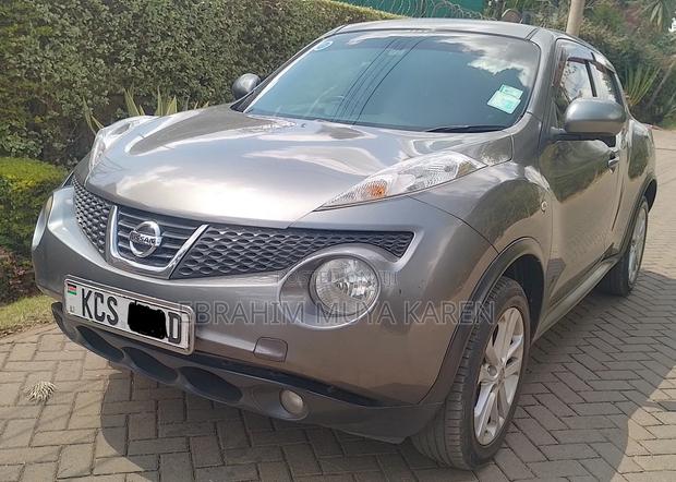 Nissan Juke SV Automatic 2011 Gray
