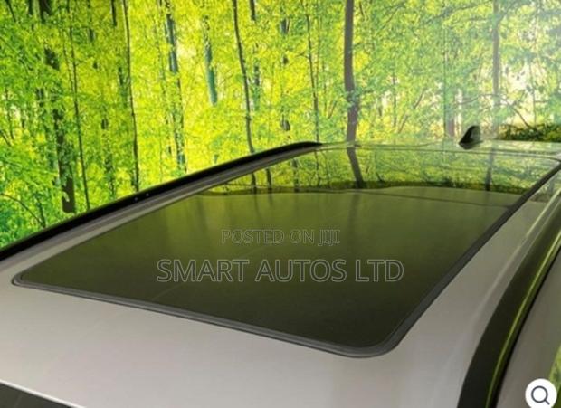 New Toyota RAV4 2026 Gray