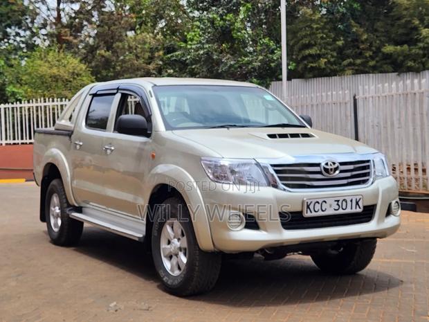 Toyota Hilux 3.0 D-4D Double Cab 2008 Brown