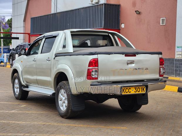 Toyota Hilux 3.0 D-4D Double Cab 2008 Brown