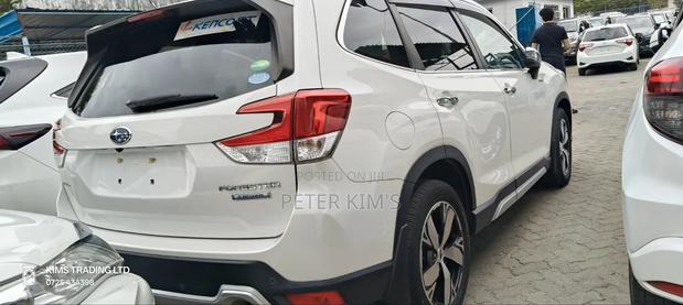 Toyota Probox 2019 White