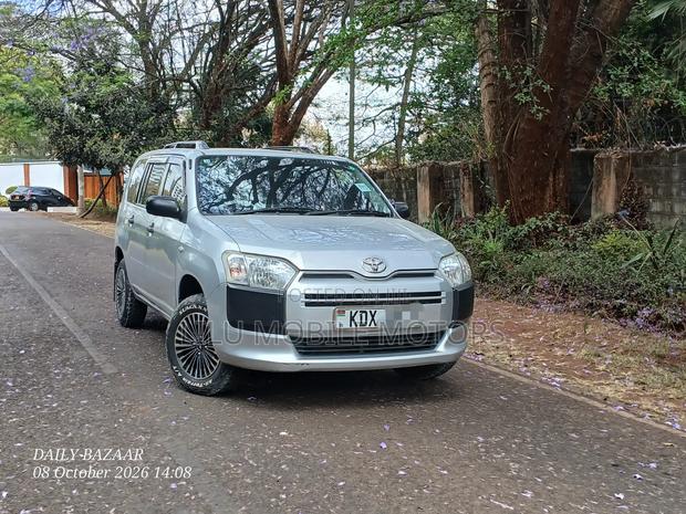 Toyota Probox 1.3 DX 2WD 2019 Silver