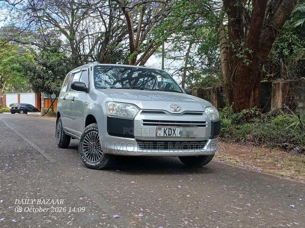 Toyota Probox 1.3 DX 2WD 2019 Silver