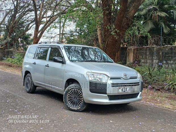 Toyota Probox 1.3 DX 2WD 2019 Silver