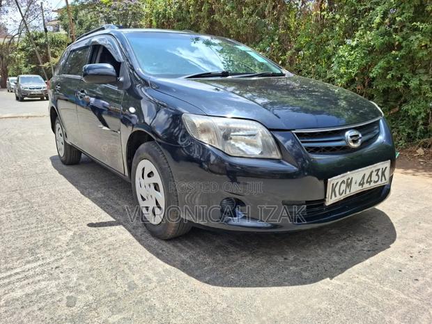 Toyota Corolla Fielder 2011 Black