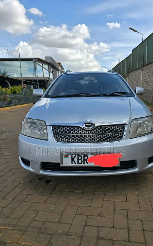 Toyota Corolla Fielder 2005 Silver