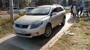 Toyota Corolla Fielder 2010 Silver for sale