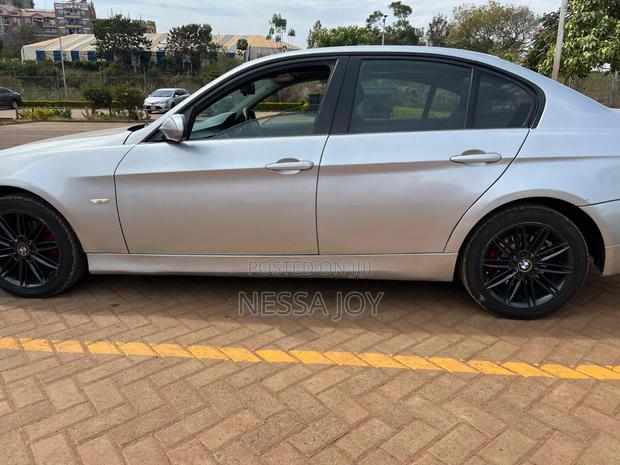 BMW 320i Sedan RWD 2009 Silver