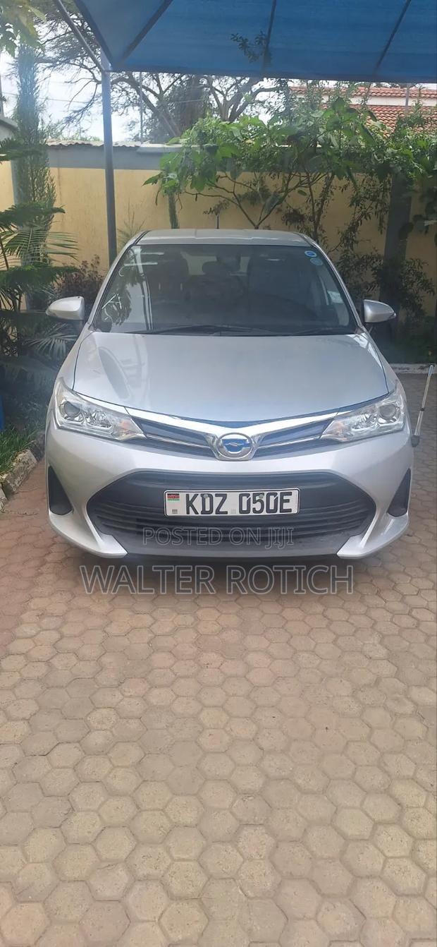 Toyota Corolla Fielder 2019 Silver