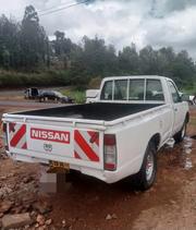Nissan Hardbody 2004 White for sale