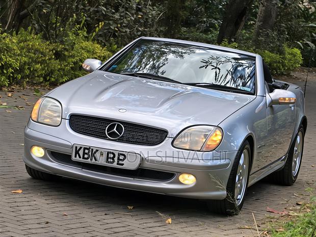 Mercedes-Benz SLK-Class 2003 Silver