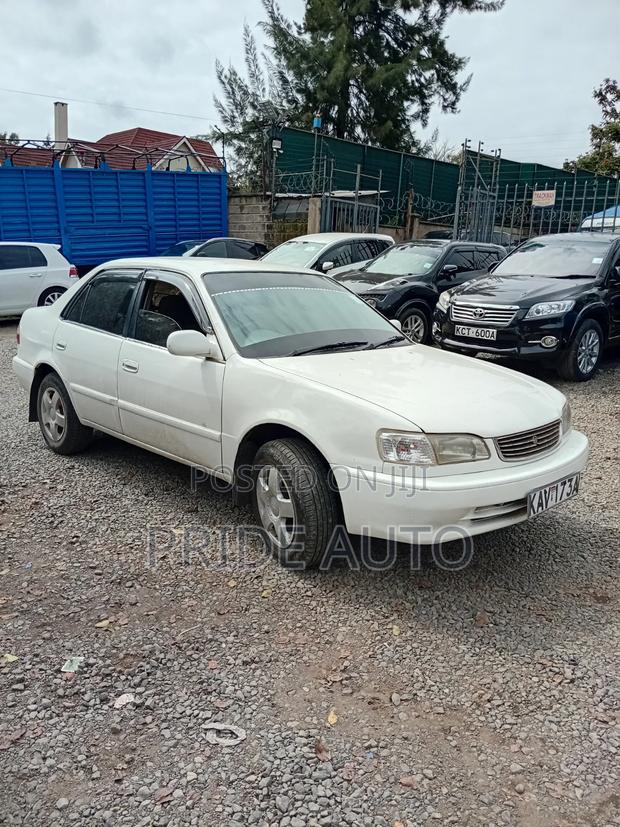 Toyota Corolla 2000 White