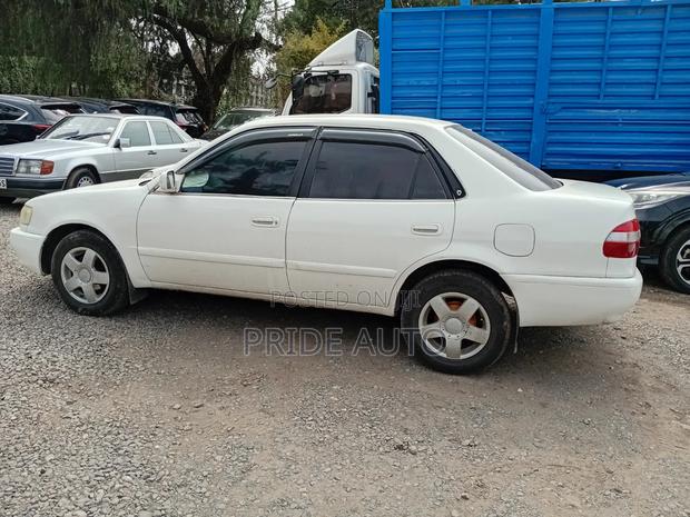 Toyota Corolla 2000 White