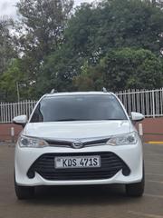 Toyota Corolla Fielder 2019 Burgundy for sale