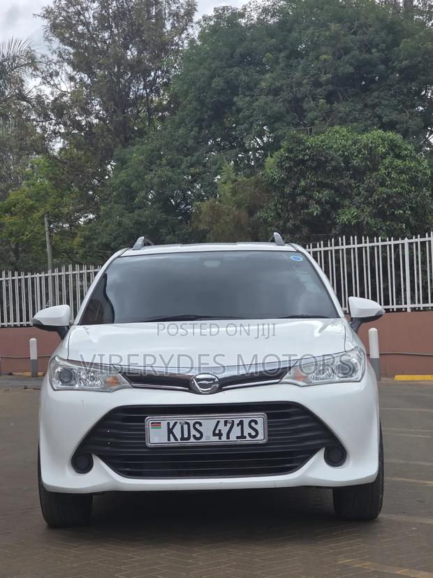 Toyota Corolla Fielder 2019 Burgundy