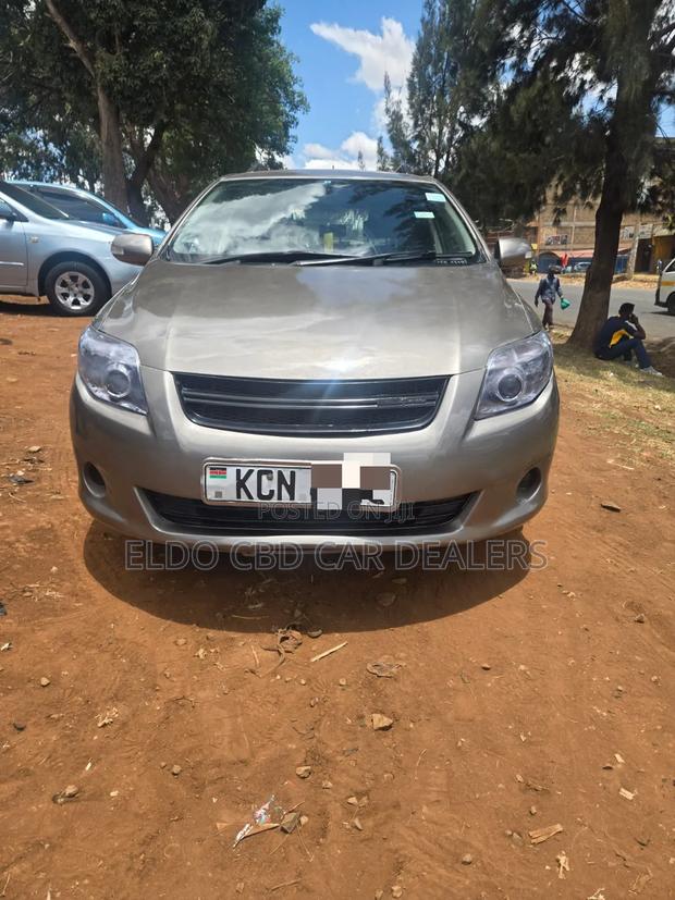 Toyota Corolla Fielder 2010 Gray
