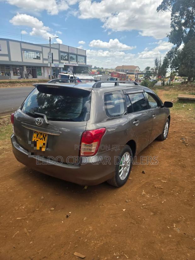 Toyota Corolla Fielder 2010 Gray