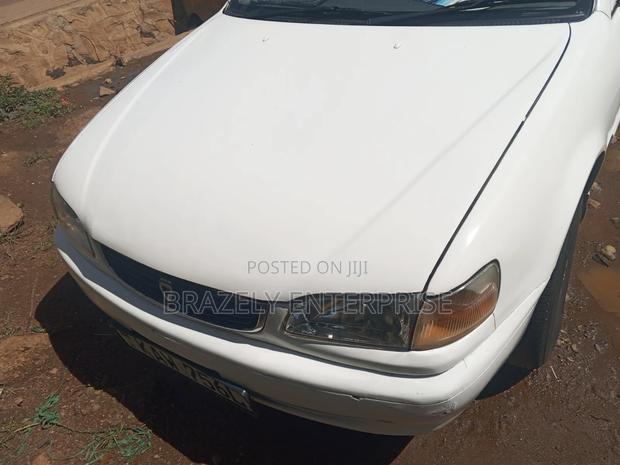 Toyota Corolla Automatic 1999 White