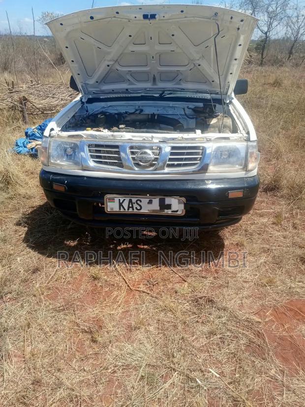 Nissan Hardbody 2002 White