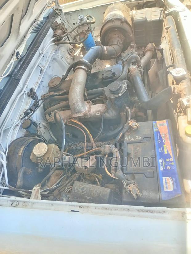 Nissan Hardbody 2002 White