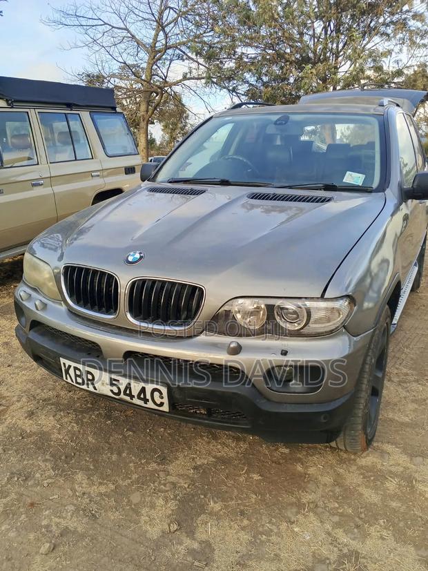 BMW X5 3.0i 2005 Gray