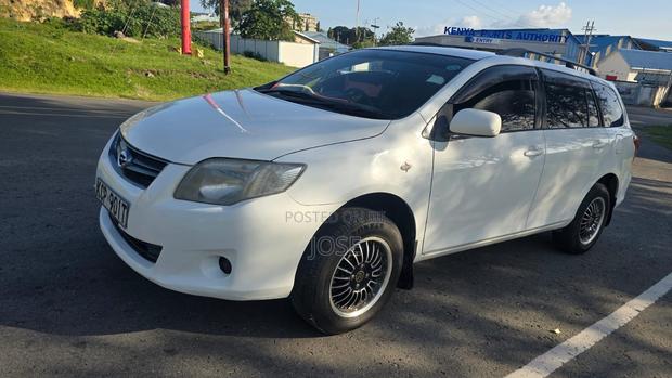 Toyota Corolla Fielder 2010 White