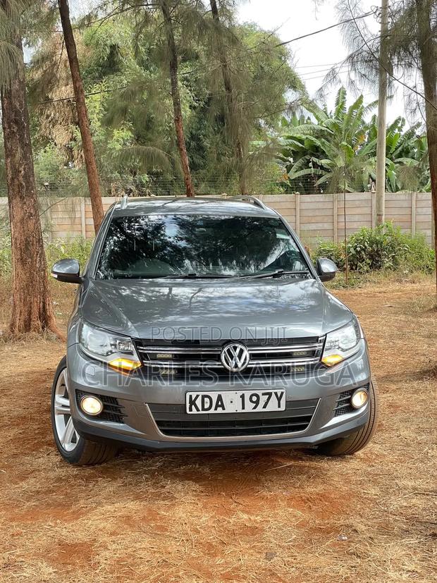 Volkswagen Tiguan 2015 Gray