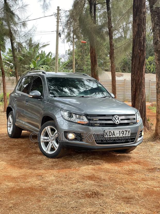 Volkswagen Tiguan 2015 Gray