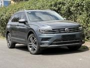 Volkswagen Tiguan 2.0T SEL Premium AWD 4MOTION 2019 Gray for sale