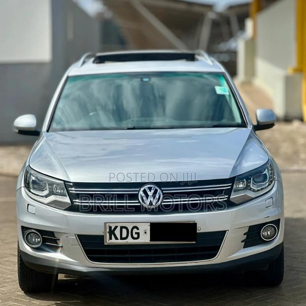 Volkswagen Tiguan 2014 Silver