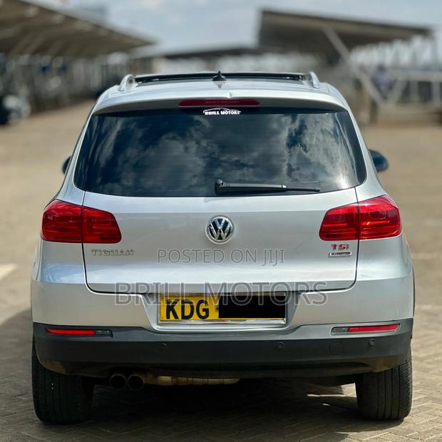 Volkswagen Tiguan 2014 Silver