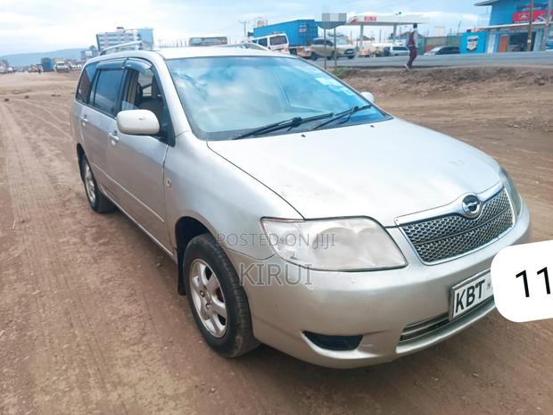Toyota Corolla Fielder 2007 Silver