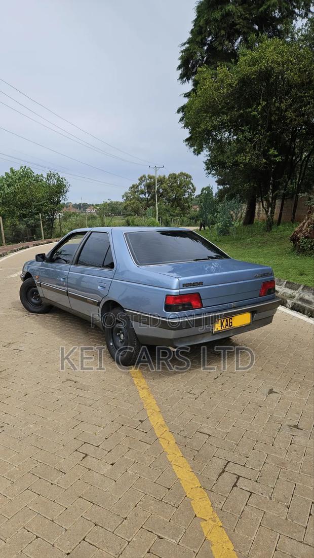 Peugeot 405 1996 Blue