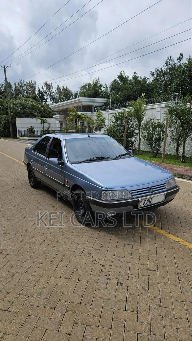 Peugeot 405 1996 Blue
