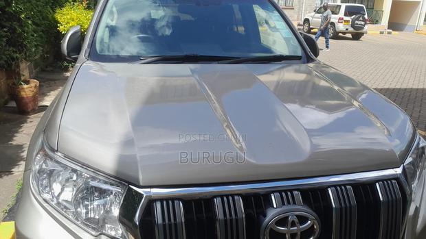 Toyota Land Cruiser Prado 2009 Silver