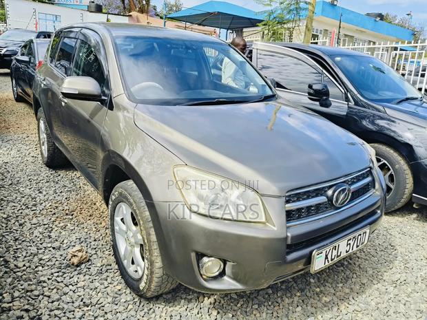 Toyota RAV4 2.5 4x4 2010 Gray