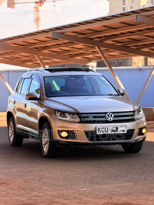 Volkswagen Tiguan 2013 Gold