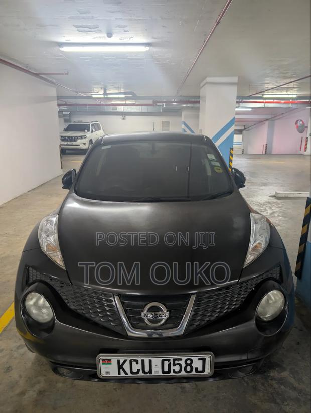 Nissan Juke 2011 Gray