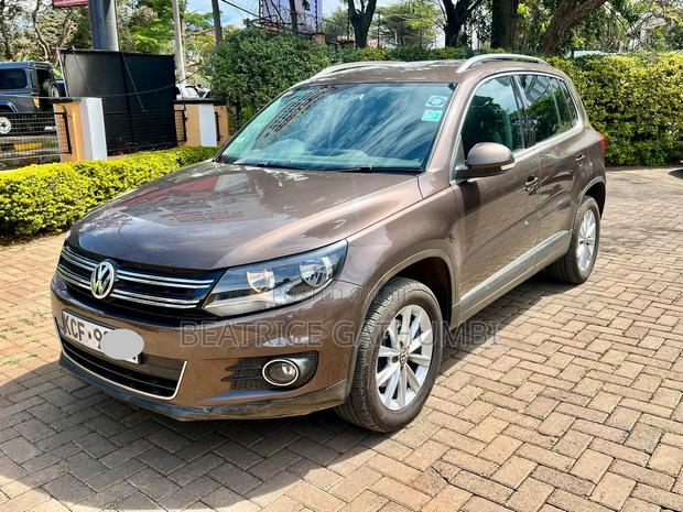 Volkswagen Tiguan 2014 Brown