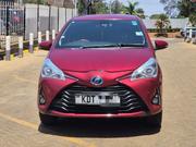 Toyota Vitz 2019 Red for sale