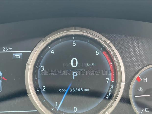 Lexus RX 300 4WD 2020 Matt Black
