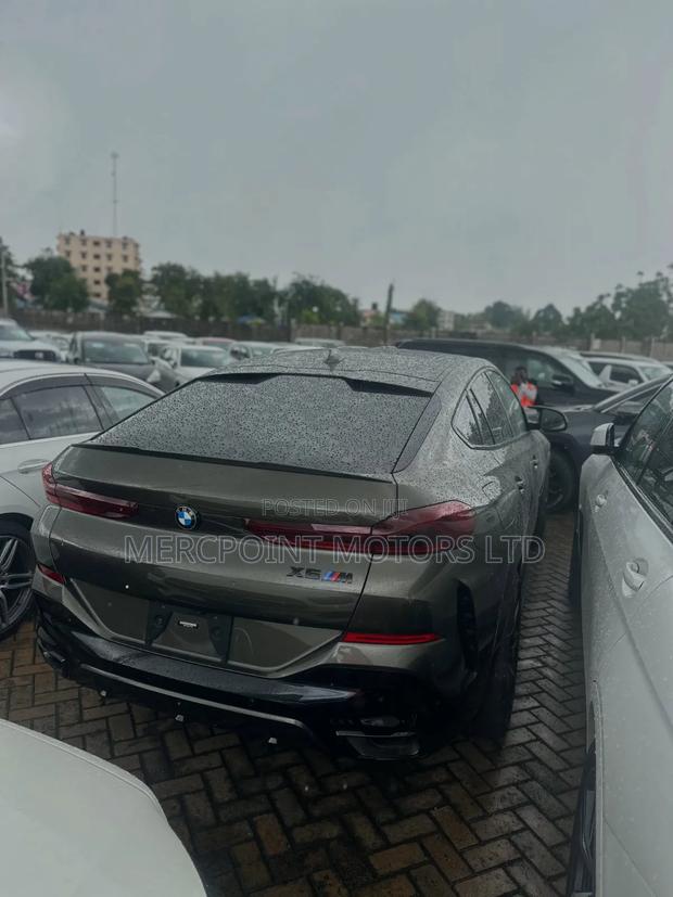 BMW X6 2020 Brown