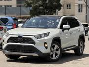 Toyota RAV4 XLE Premium AWD 2019 White for sale