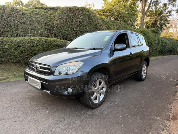 Toyota RAV4 2.0 VVT-i 2008 Gray