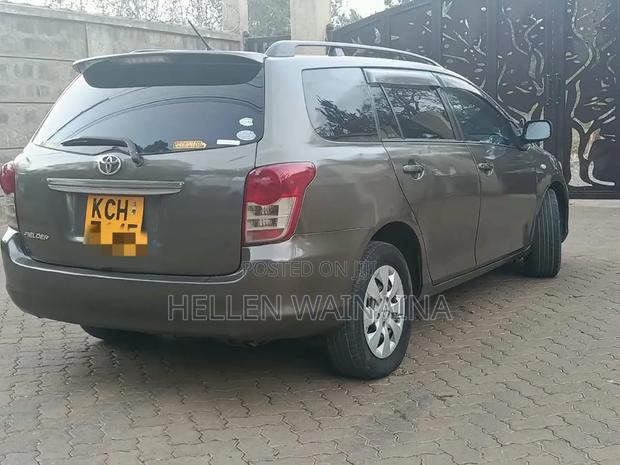 Toyota Corolla Fielder 2010 Gray